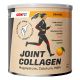 ICONFIT JOINT COLLAGEN 300G ORANGE