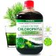 KLOROFÜLL 500ML  - Vitateka
