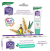 BORO PLUS Nawilżający balsam do ust z miętą 10 g