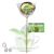 TEA LOLLIPOP lizak herbaciany Green, 30 g - Vitateka