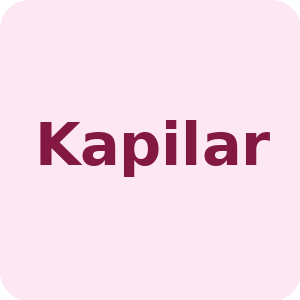 Kapilar
